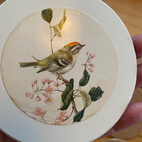 Vintage English cork bottom coaster with a bird theme, 12 pcs - Picture 16 of 16